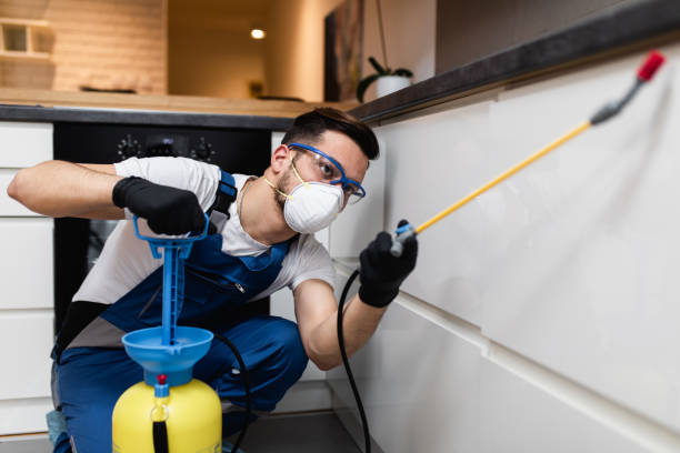 Best Pest Control Near Me  in Pea Ridge, FL