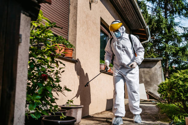 Best Wasp Removal Services  in Pea Ridge, FL