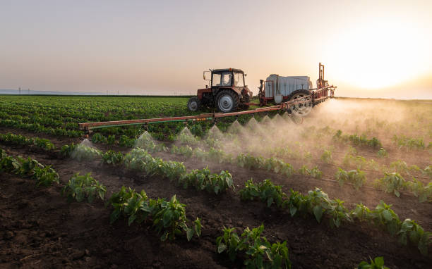 Best Mosquito Control Services  in Pea Ridge, FL