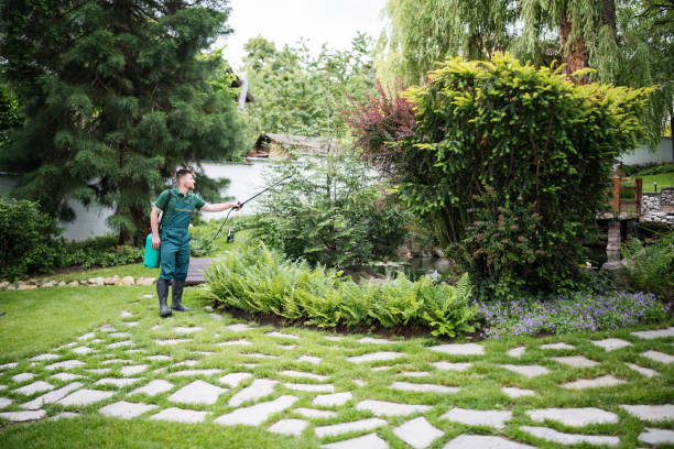 Trusted Pea Ridge, FL Pest Control Experts