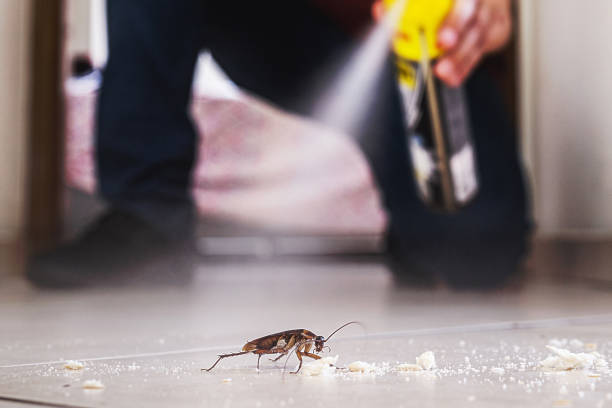 Best Affordable Pest Control Services  in Pea Ridge, FL