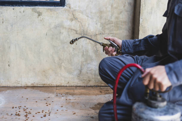Best Residential Pest Control  in Pea Ridge, FL